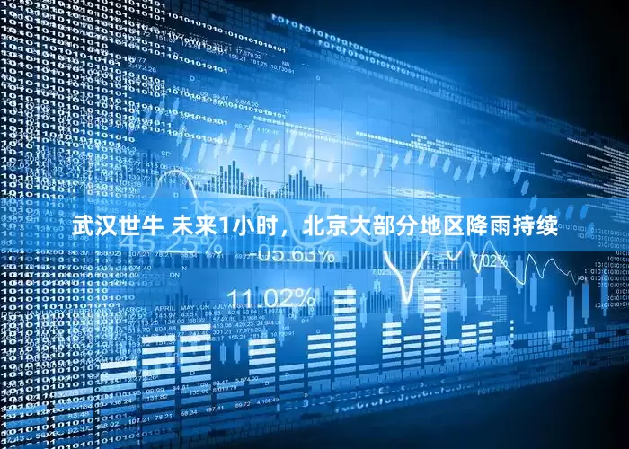 武汉世牛 未来1小时，北京大部分地区降雨持续