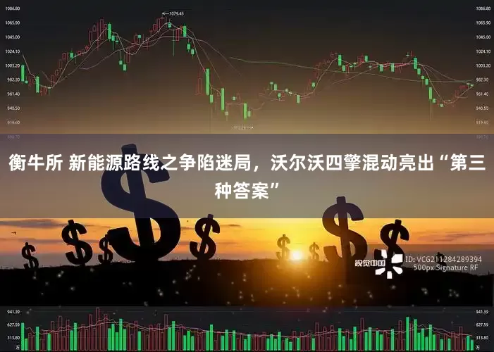 衡牛所 新能源路线之争陷迷局，沃尔沃四擎混动亮出“第三种答案”