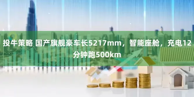 投牛策略 国产旗舰豪车长5217mm，智能座舱，充电12分钟跑500km