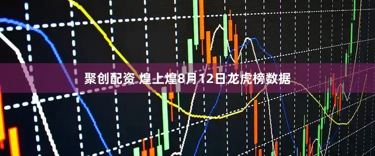 聚创配资 煌上煌8月12日龙虎榜数据